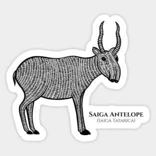 Saiga Antelope with Common and Latin Names - animal design - black and white Sticker